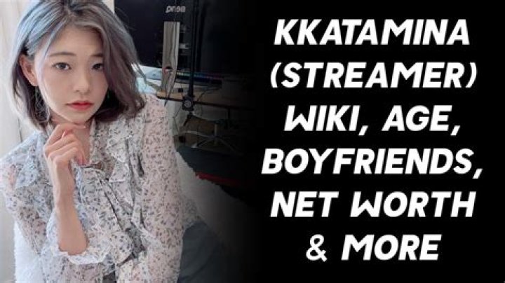 Is Miyoung Kim The Real Name Of Streamer Kkatamina? Her Boyfriend And Family Details